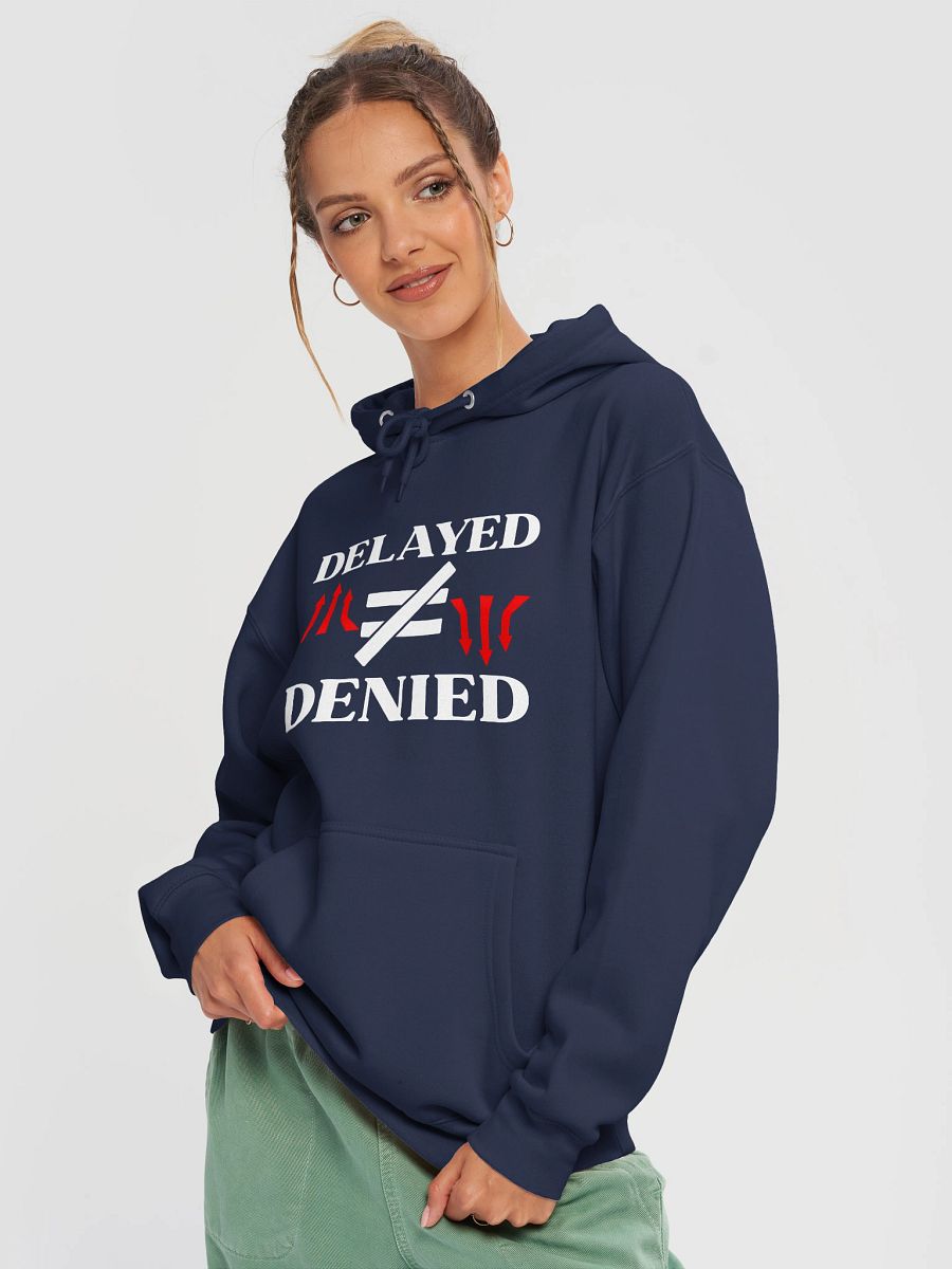 Delayed Not Denied Lane Seven Premium Pullover Hoodie. product image (1)