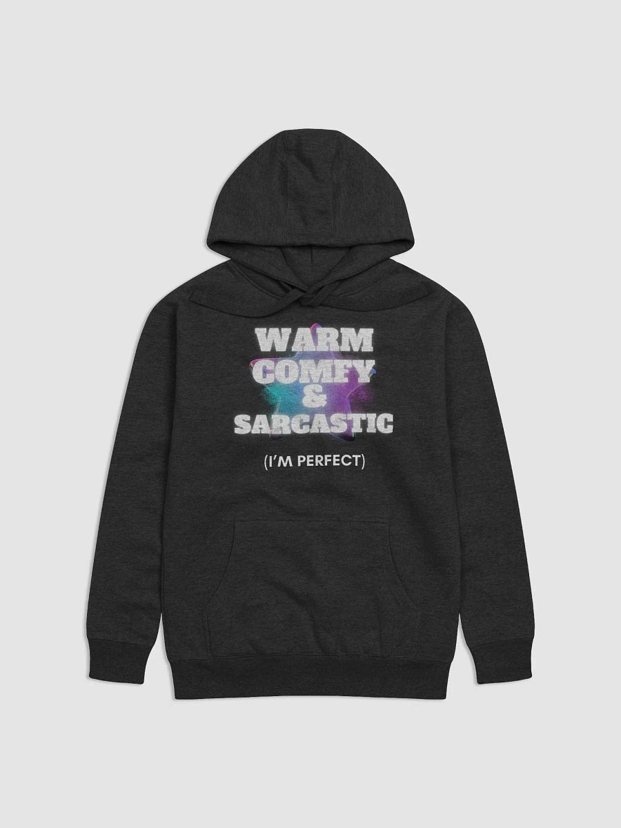Warm-Comfy-Sarcastic Hoodie product image (1)