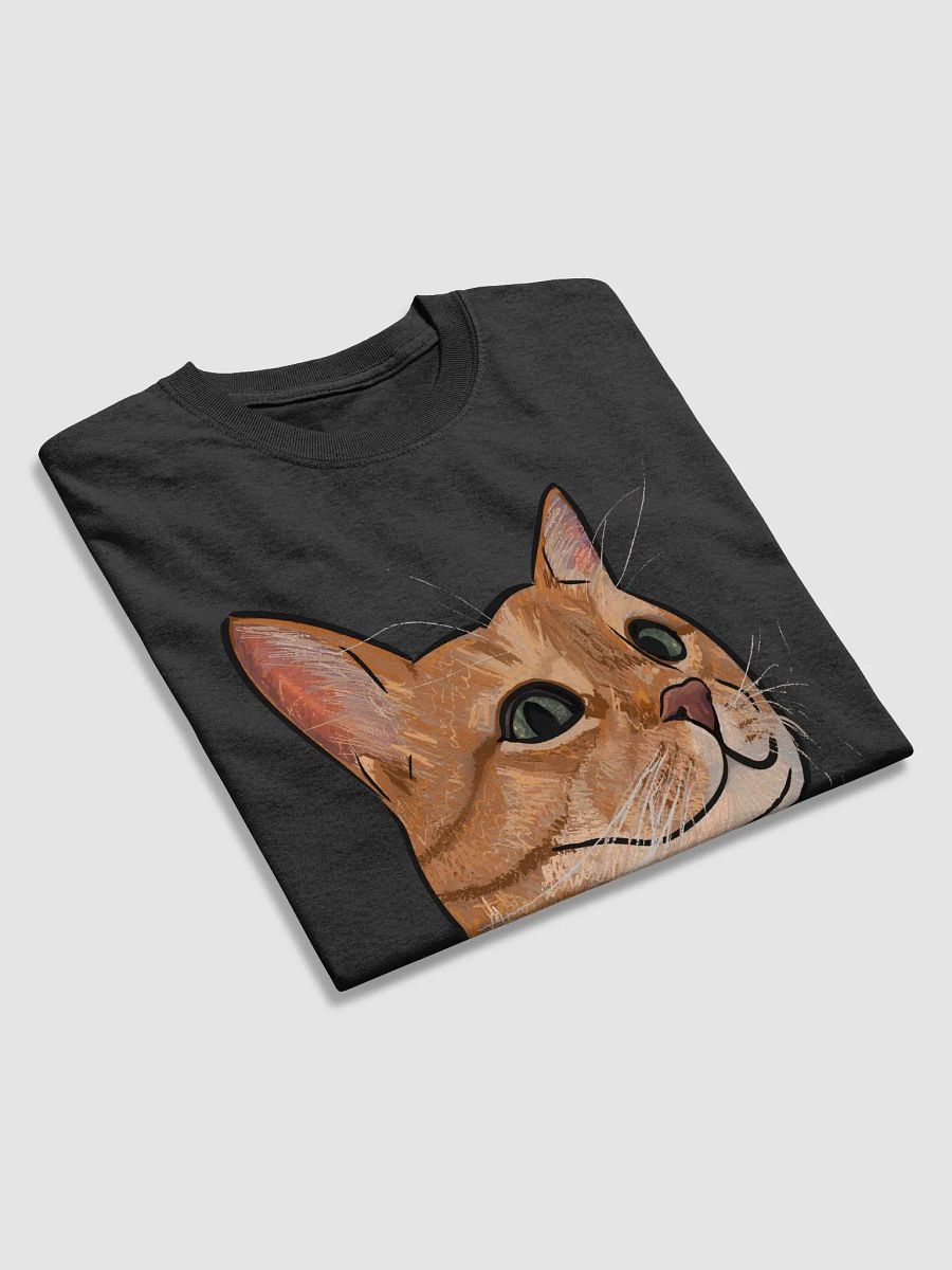 Orangey Boy Tshirt product image (26)