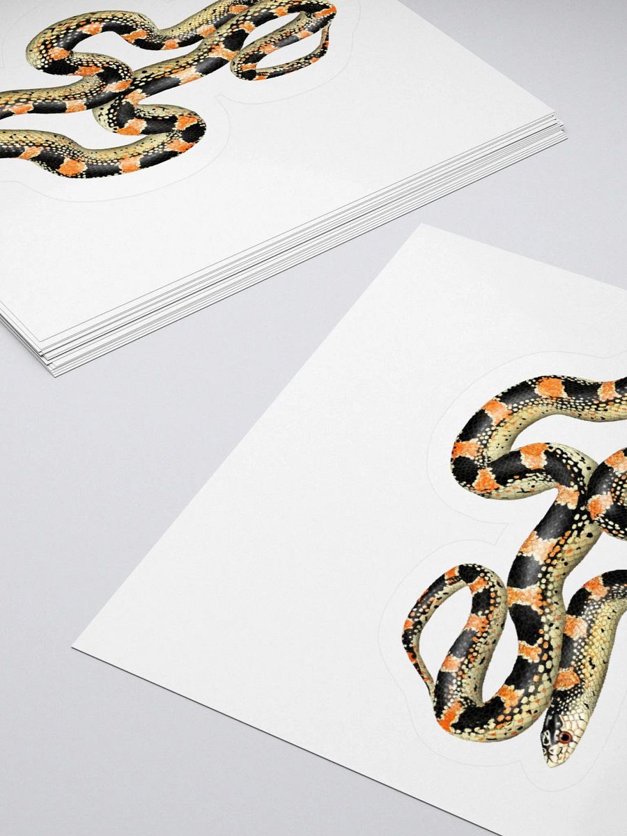Die-Cut Sticker – Longnosed Snake Lecontei Phase product image (4)