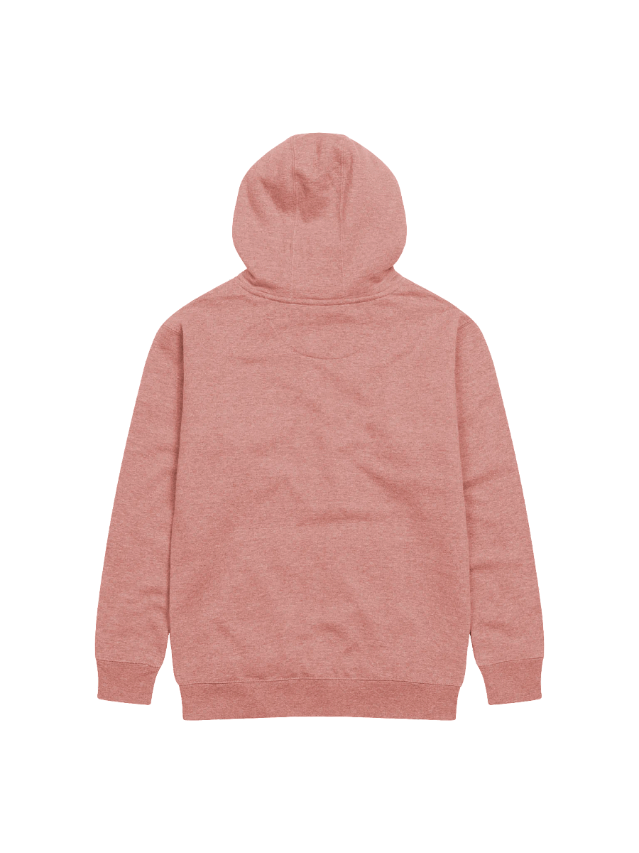 Light Embroidered CXXL Hoodies product image (2)