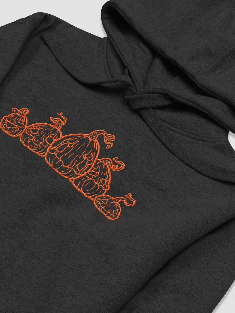 Patch O’ Jacks Embroidered Hoodie product image (20)