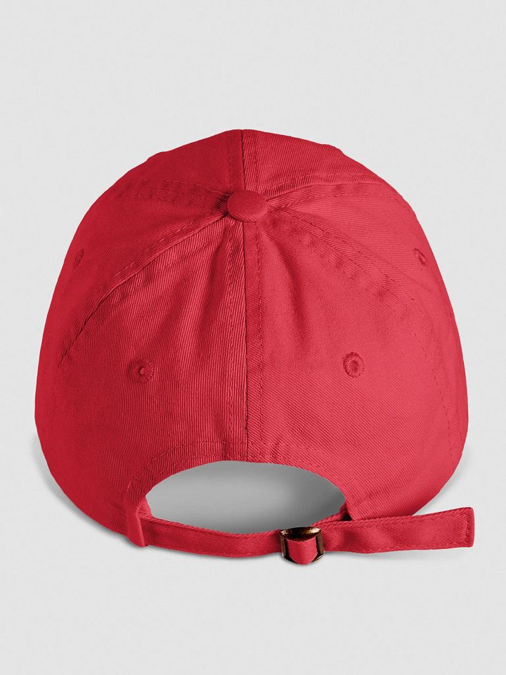 MFDA hat product image (2)