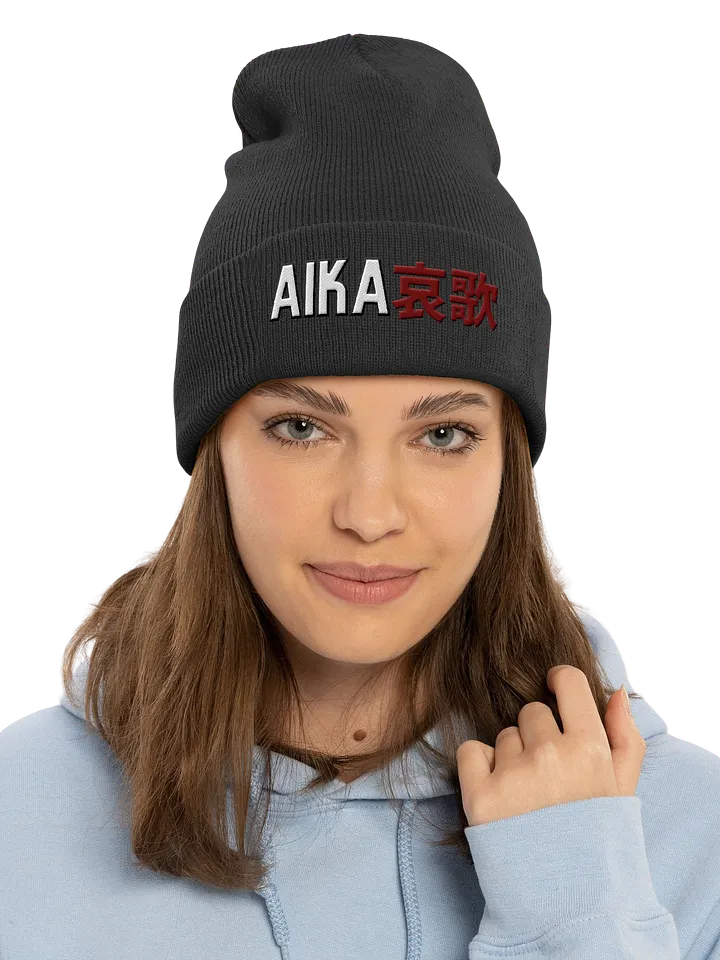 Cuffed Beanie product image (1)
