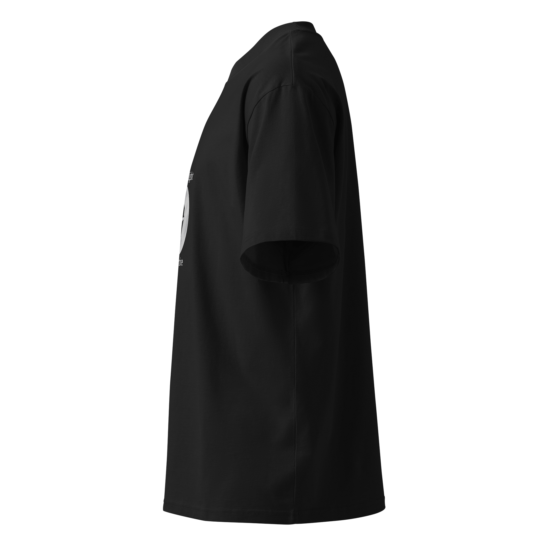 Moonlight Detective Organic Oversized T-Shirt product image (4)