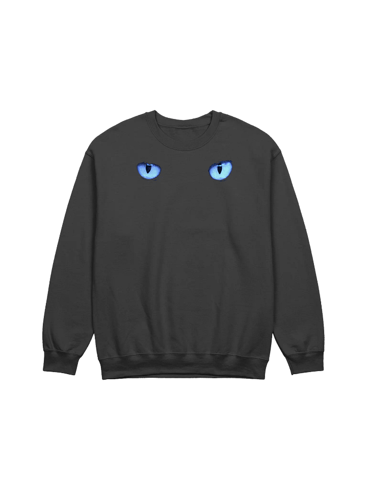 CAT EYES BLUE SWEATSHIRT product image (1)