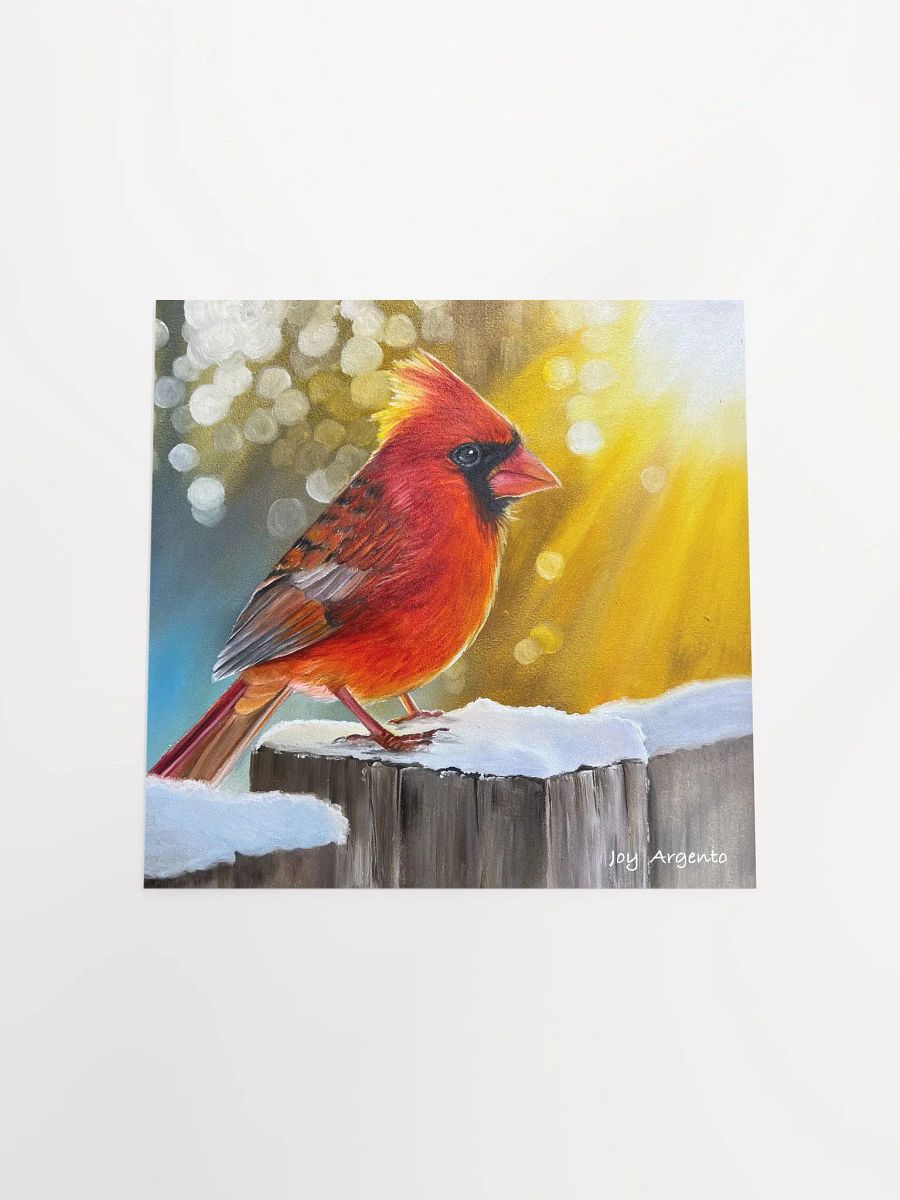 Cardinal in the Sunshine Print product image (3)