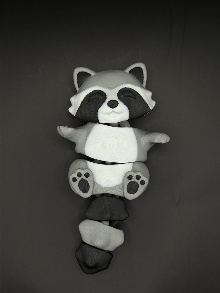 Rusty the flexi raccoon product image (1)