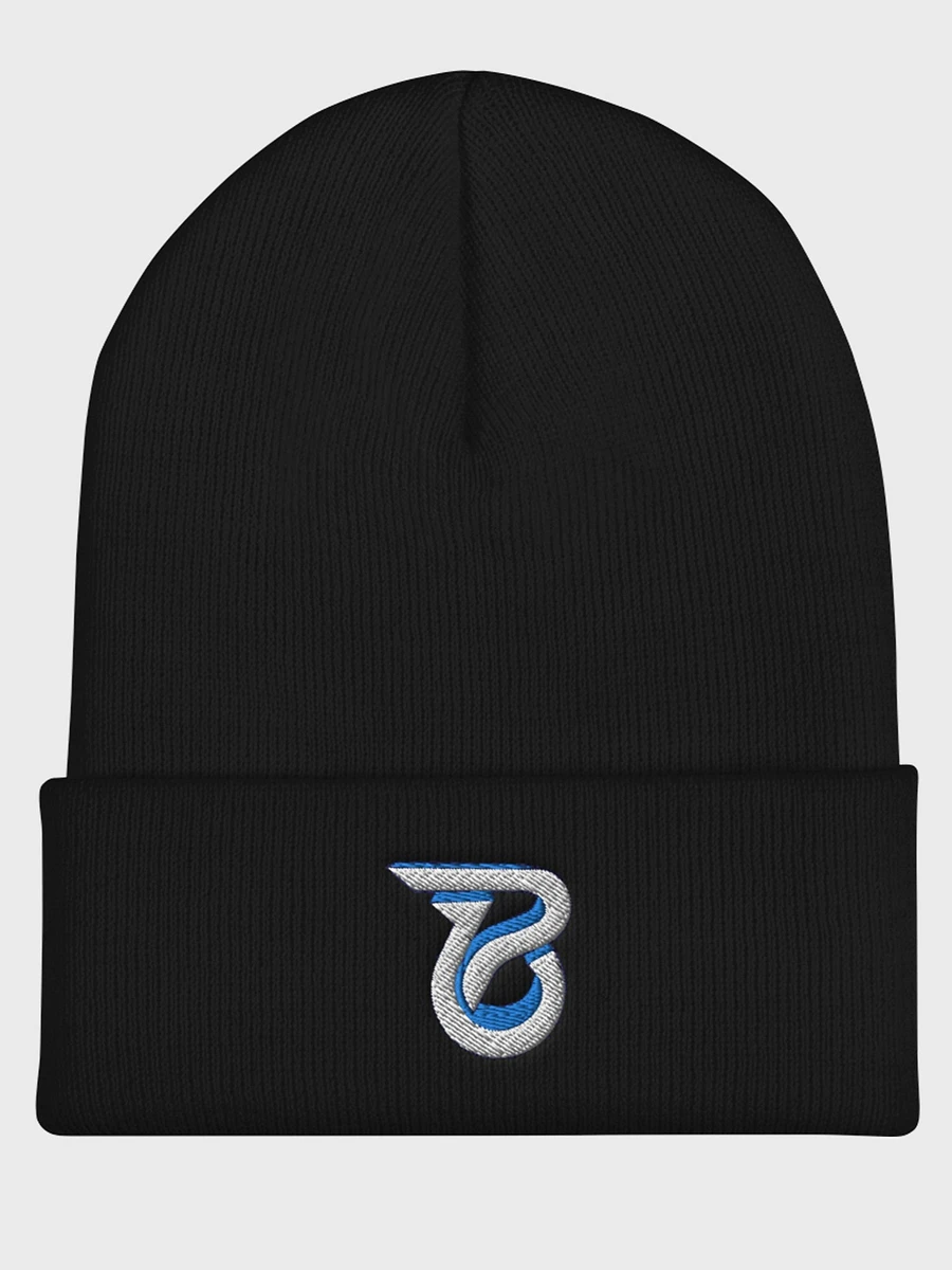 EMBROIDERED LOGO BEANIE product image (1)