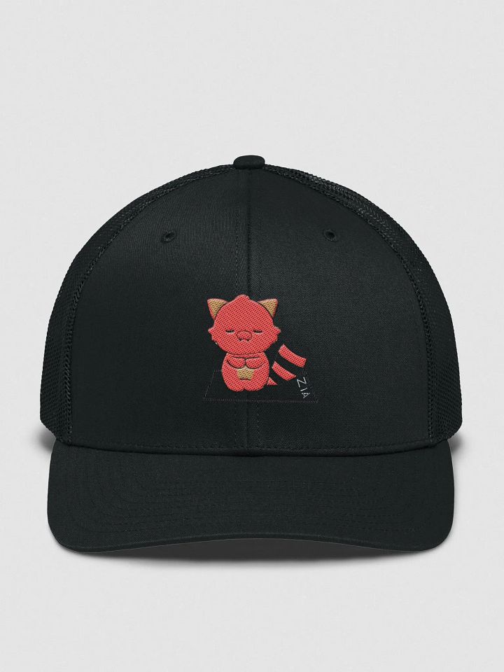 capz product image (1)