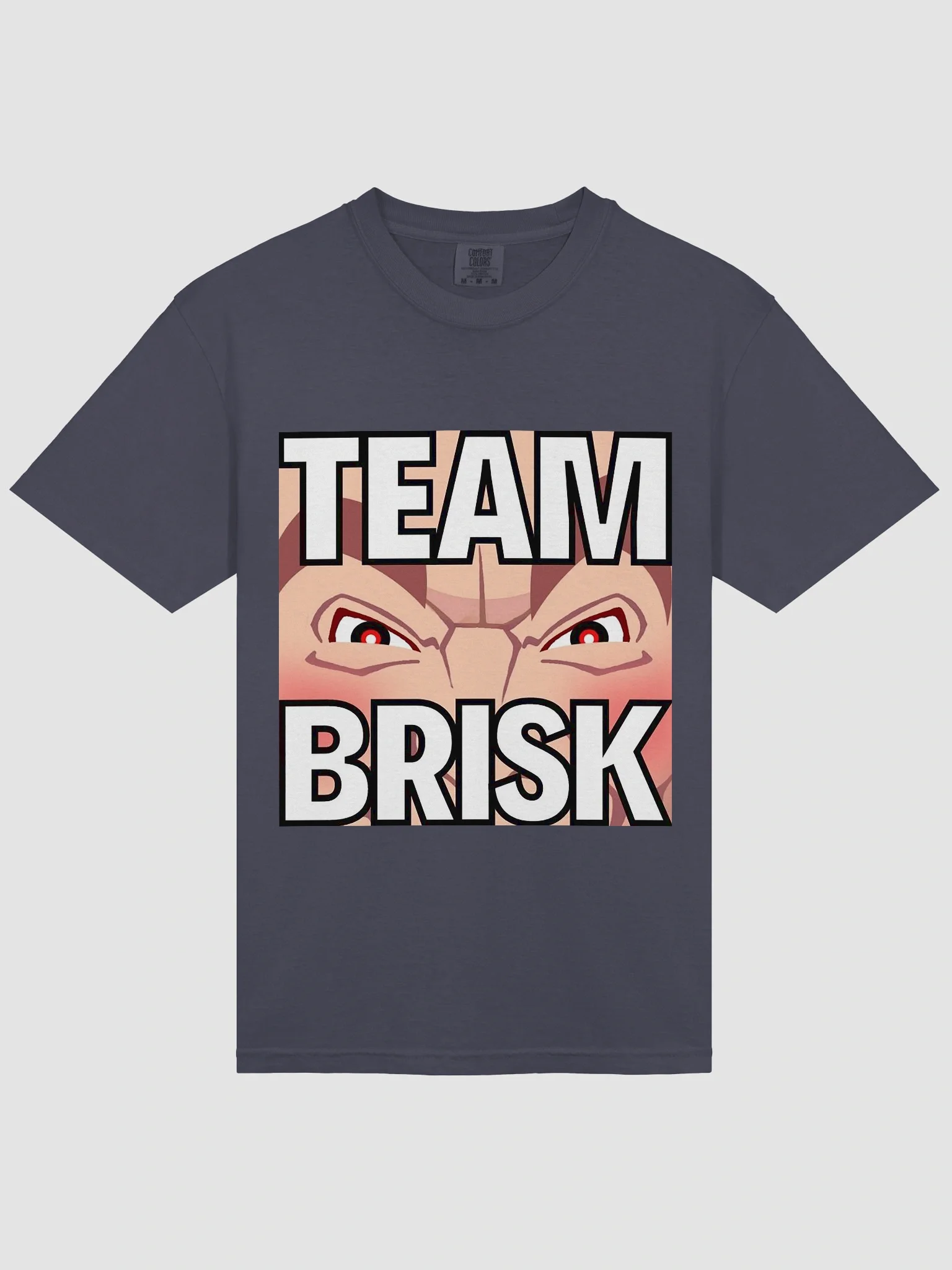 Team Brisk Tee product image (35)