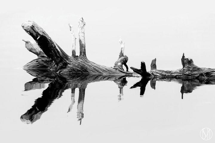 Symmetry Print product image (1)