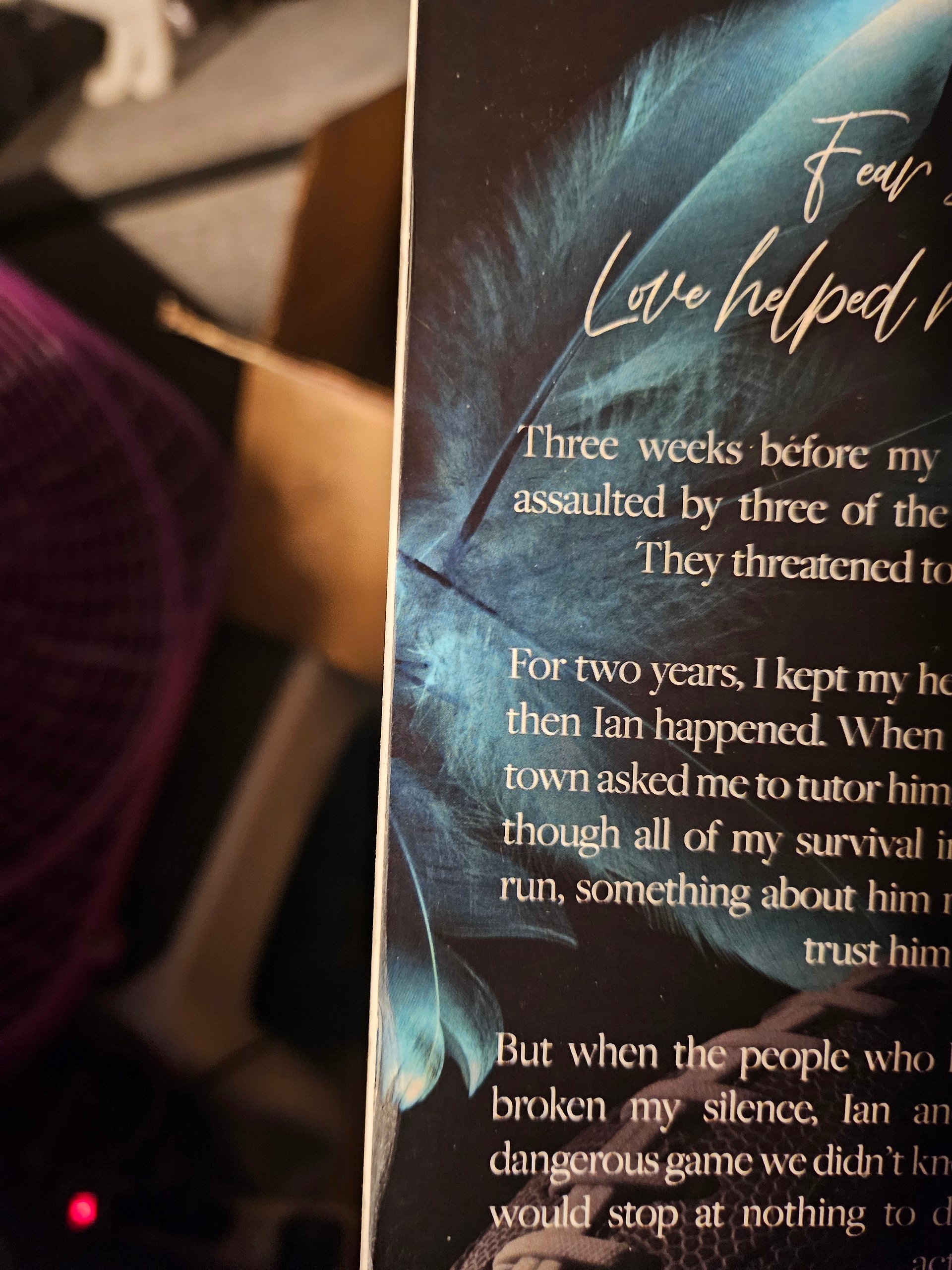 Imperfect Game of Love Special Edition Paperback Set product image (5)