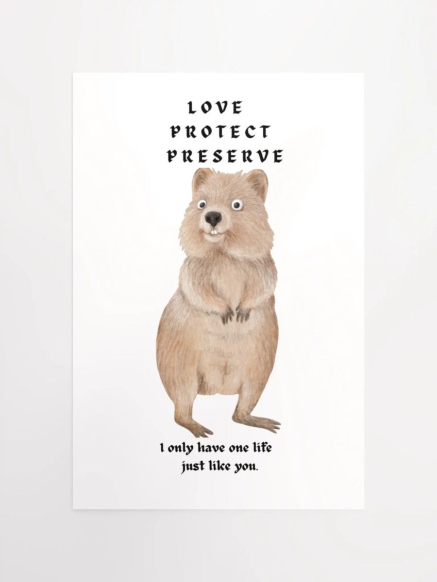 Poster AUSTRALIAN QUOKKA product image (11)