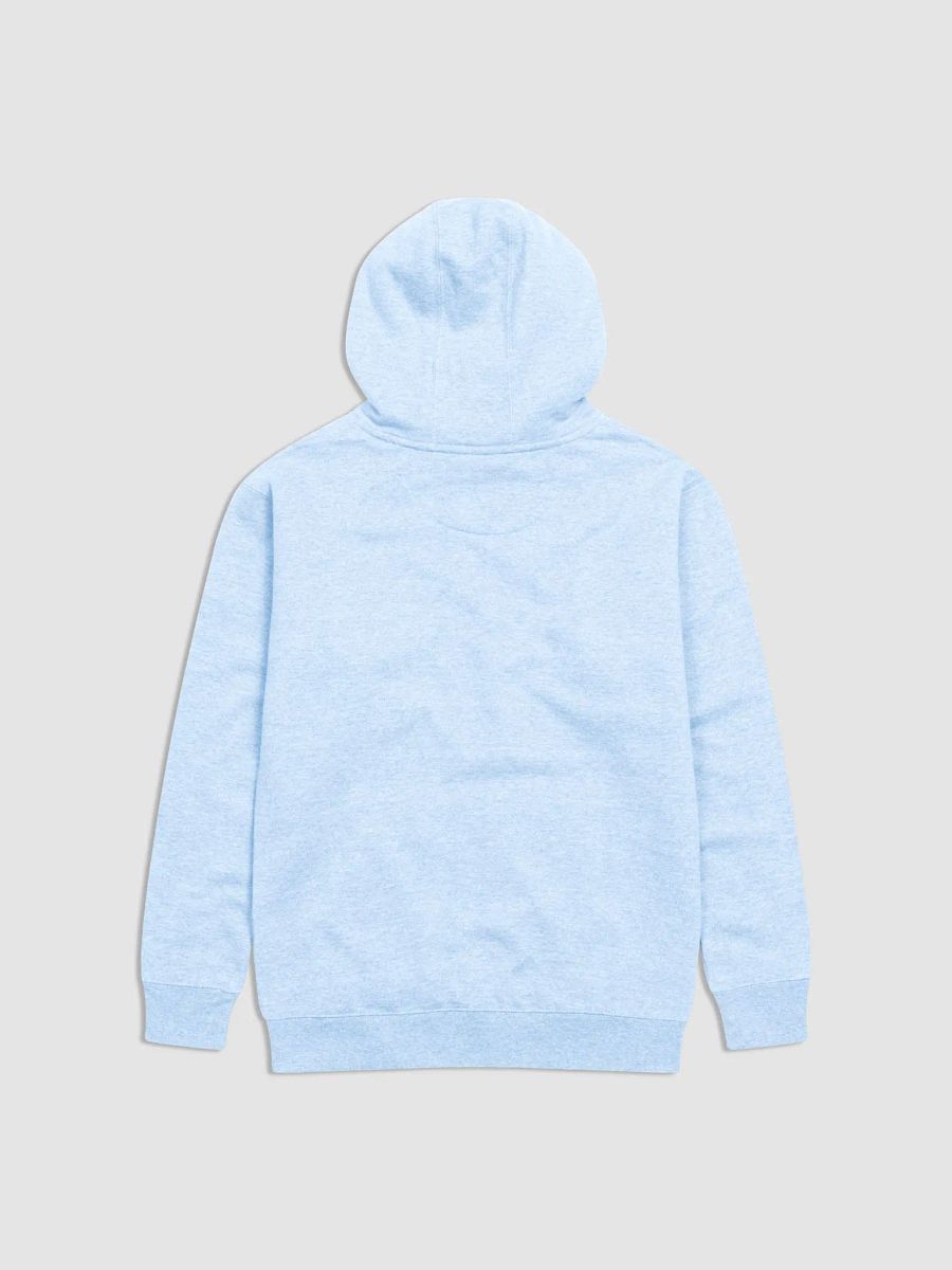 NvS Typography, Teams Hoodie product image (3)