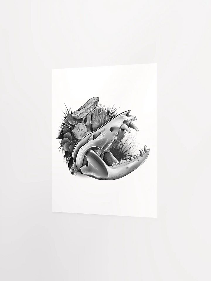 Opossum Skull Poster product image (5)