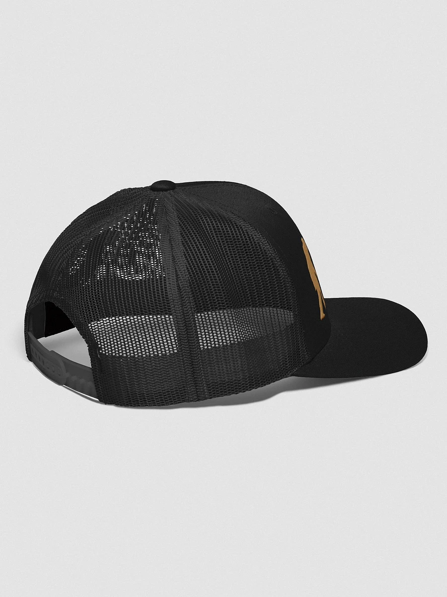 Trucker - Black & Tan product image (3)