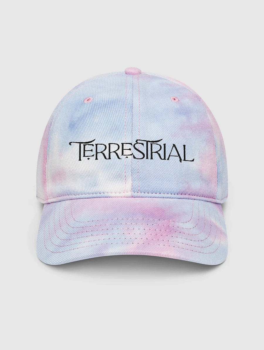 Terrestrial Logo Tie Dye Hat product image (5)