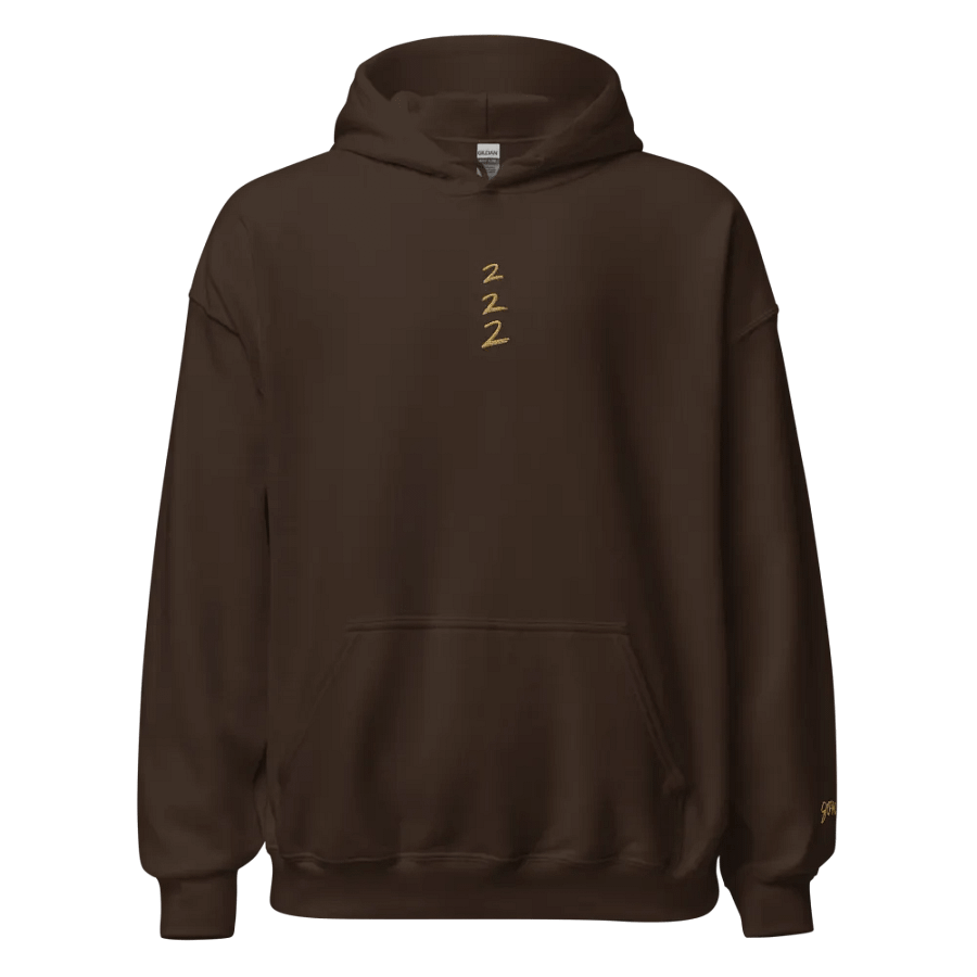 222 hoodie product image (3)