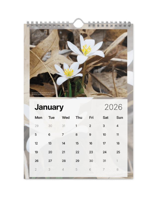 2026 Wall Calendar product image (6)