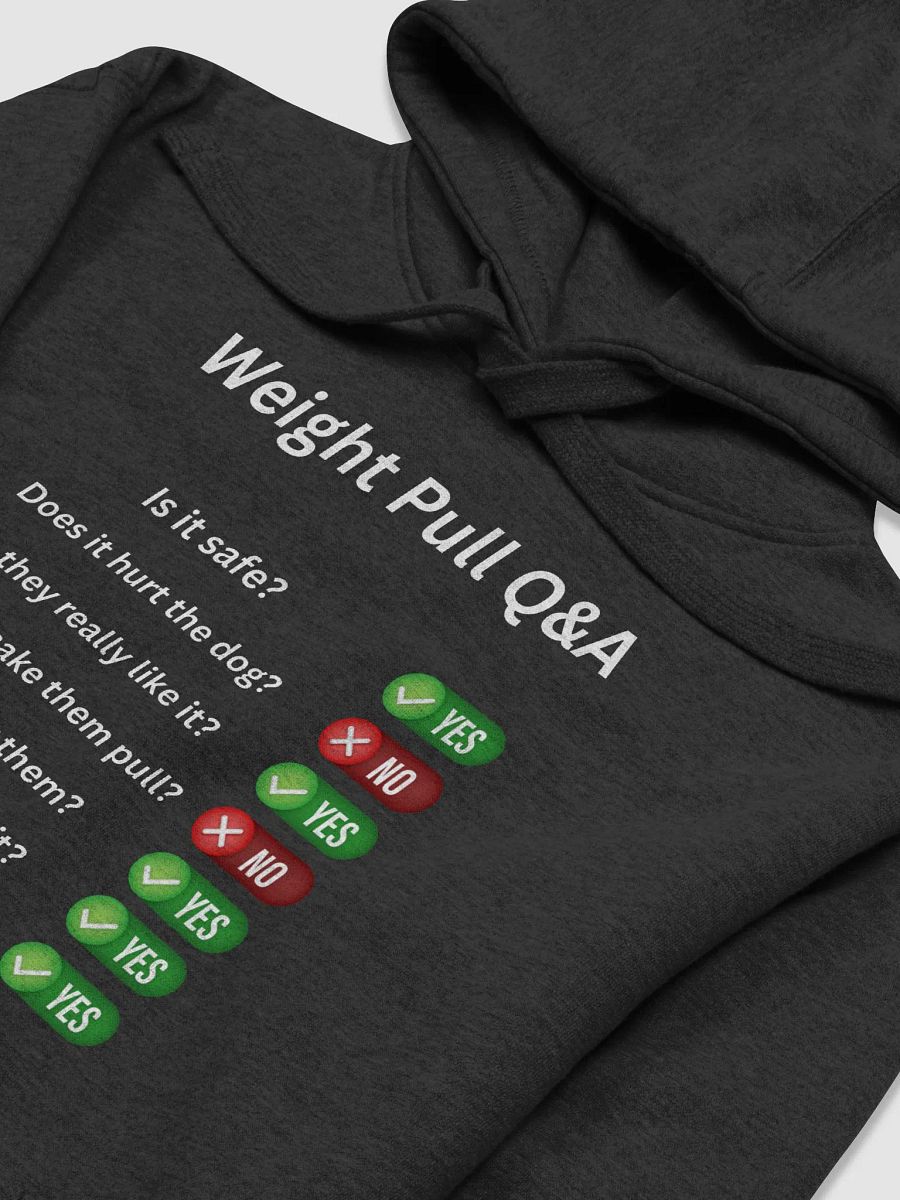 Weight Pull Q&A Hoodie product image (3)