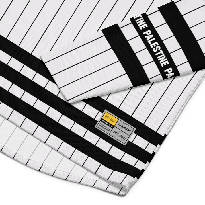 Break The Bars Long Sleeve Palestine Oversized Jersey product image (2)