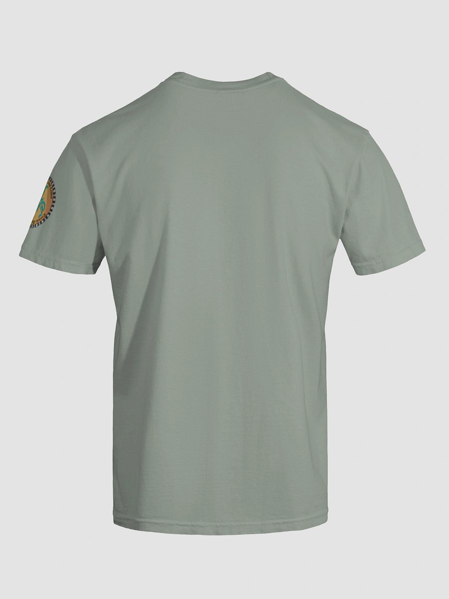 I'm not Arguing (Male) Comfort Colors Garment-Dyed Heavyweight T-Shirt Colors (4) product image (9)
