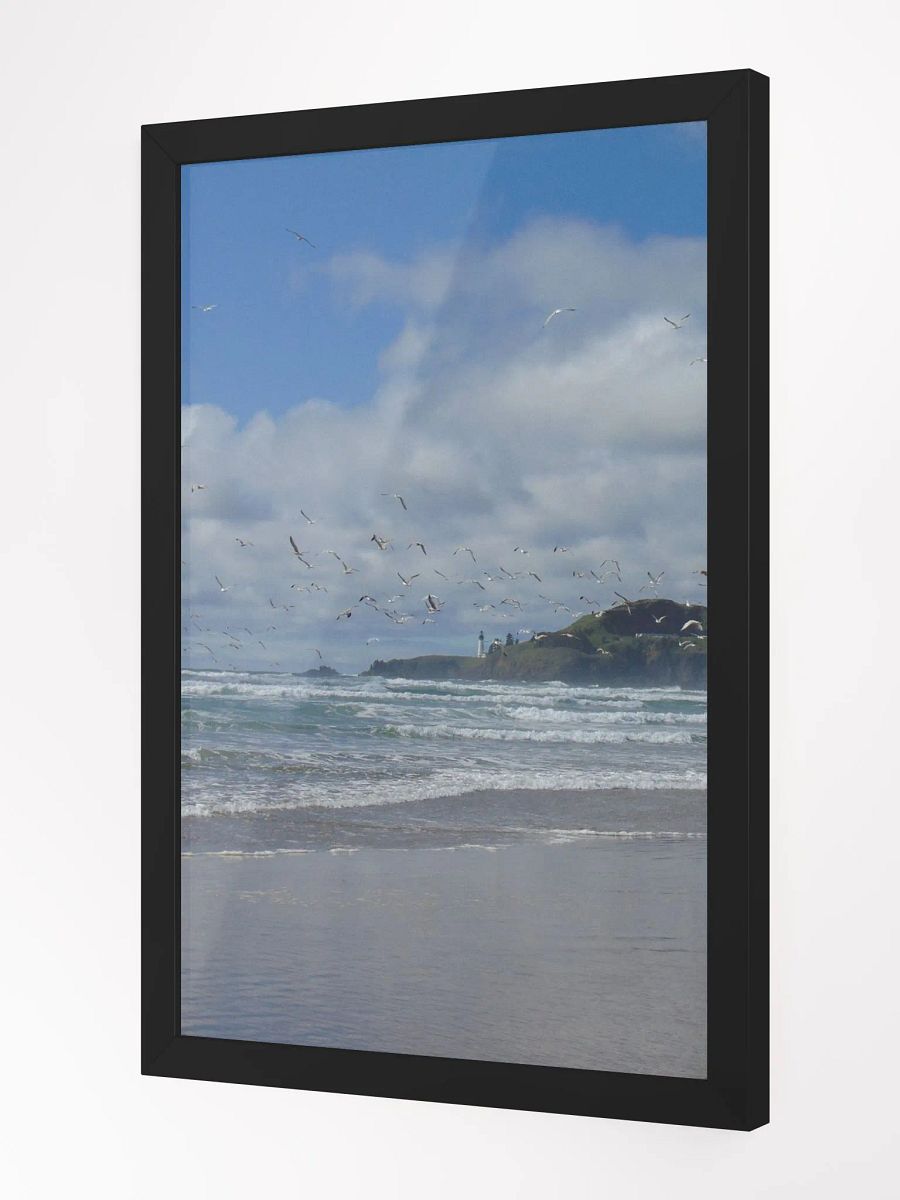 Free Bird product image (3)