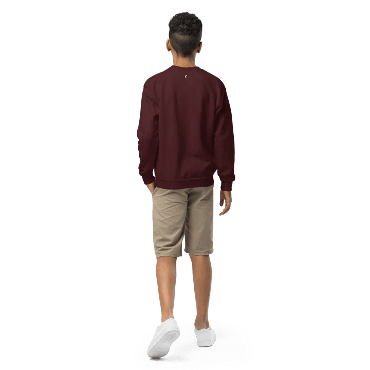 Kids Crew Neck Sweatshirt product image (2)