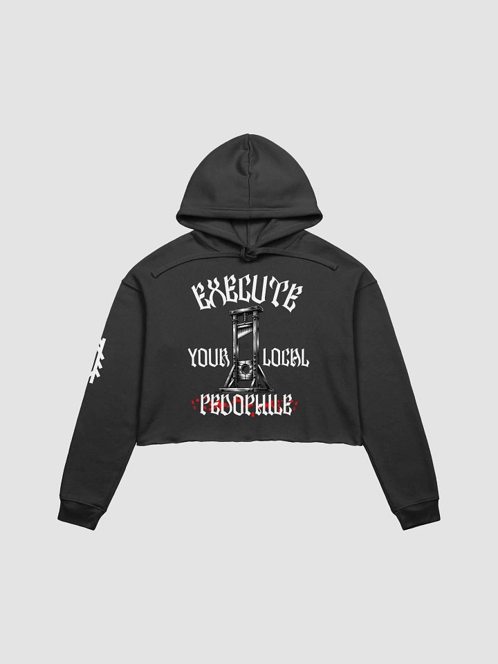 EYLP Crop Top Hoodie product image (1)