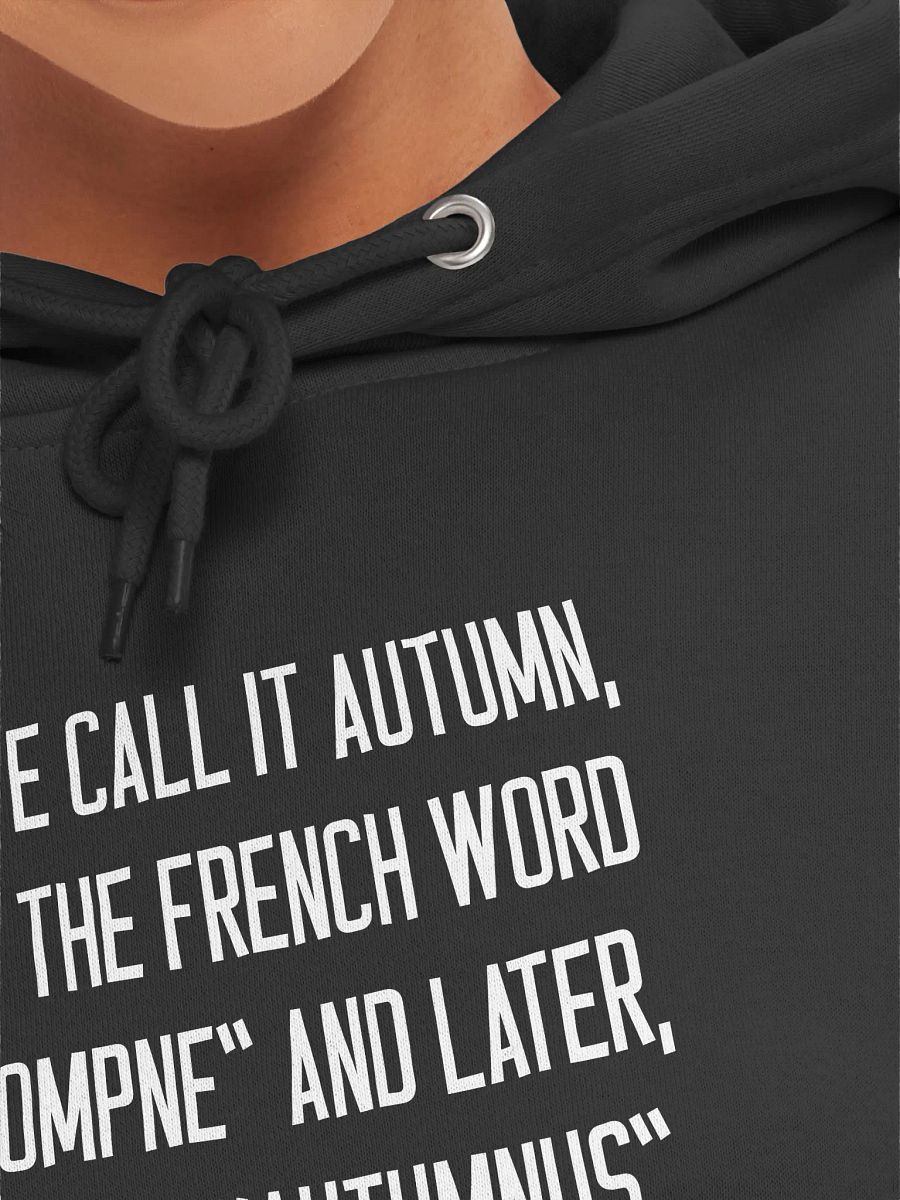 : 🍁 UK vs USA Autumn Humor Shirt | Funny Fall Word Origins Shirt | Quirky Autumn Season product image (7)