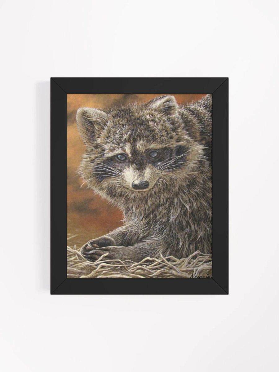 Raton/Racoon Poster encadré/framed product image (5)