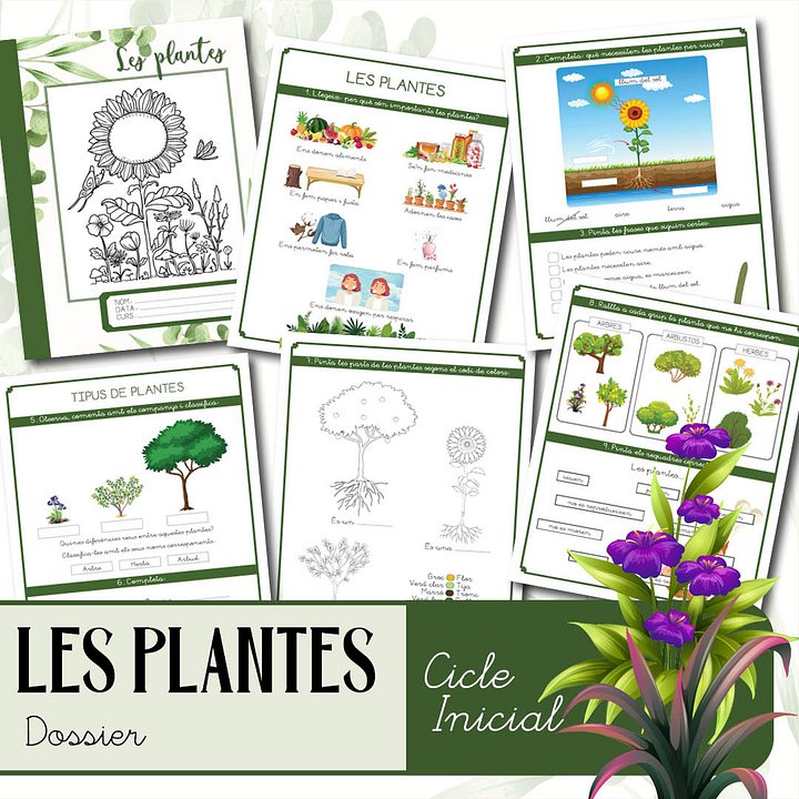 Les plantes product image (1)