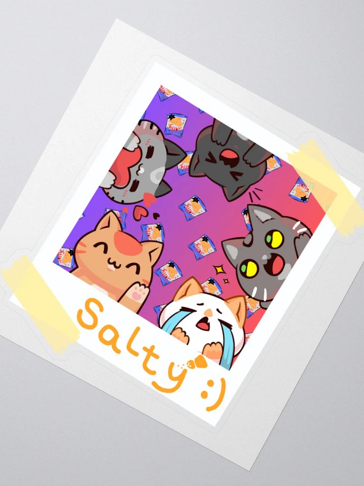 Salty Cats Polaroid Stickers product image (4)