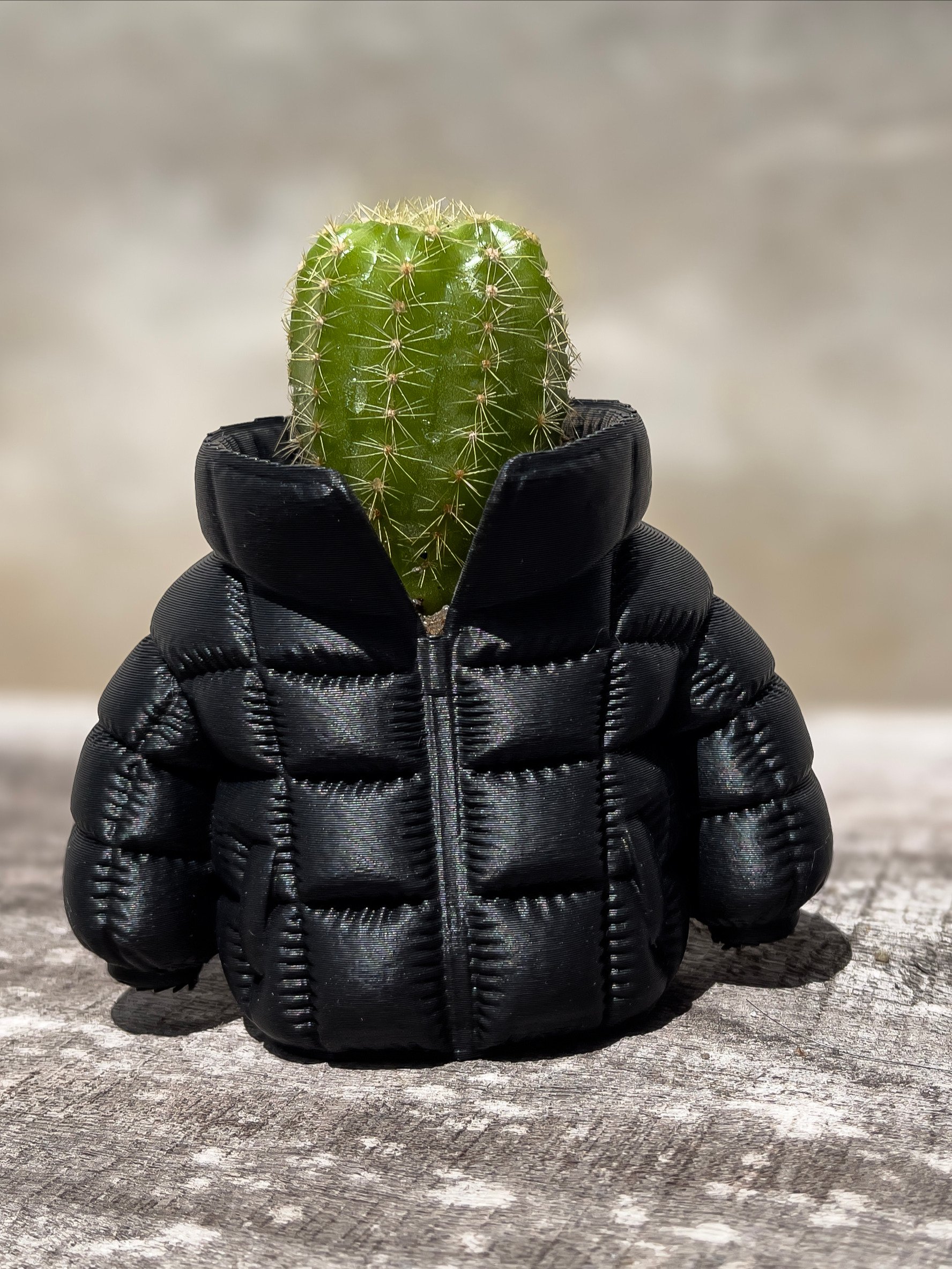 Puffer Jacket Plant Pot product image (10)