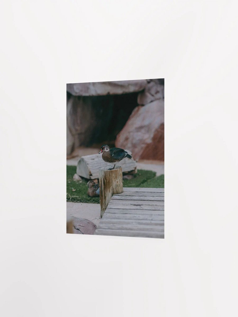 Bird #1 product image (8)