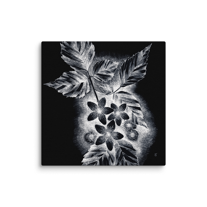 Blank Canvas Collection - JDark asmine product image (1)