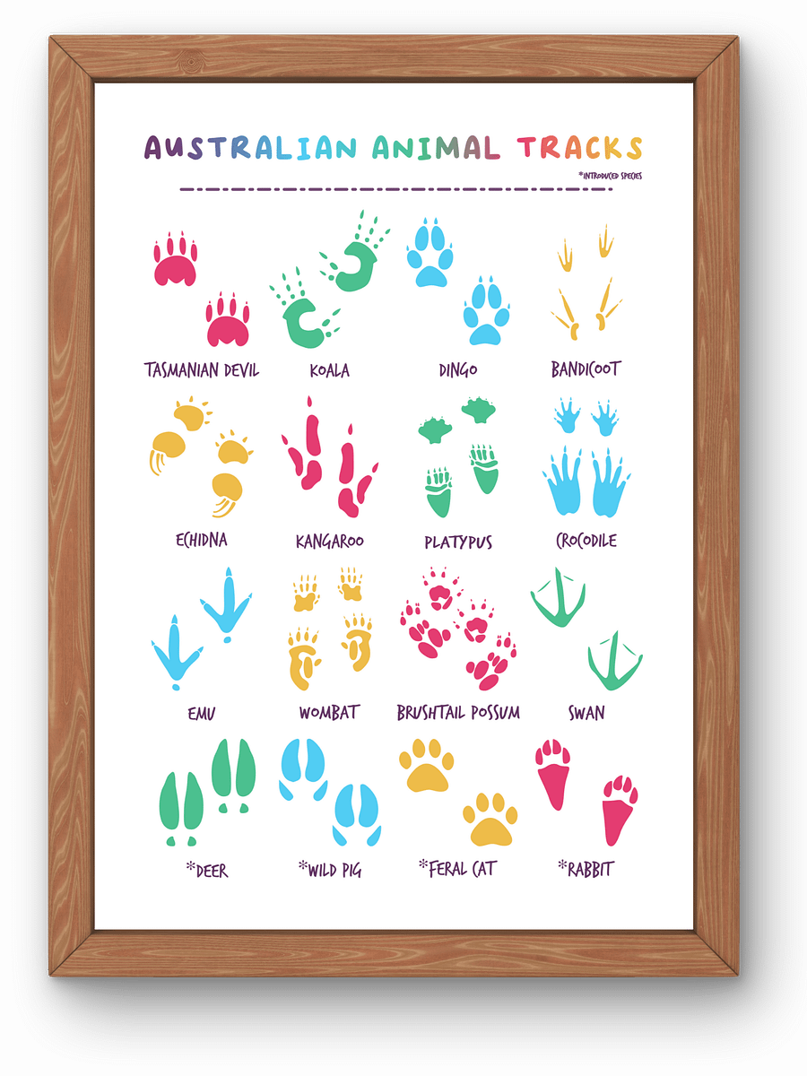 Australian Animal Tracks (Digital Download) product image (1)