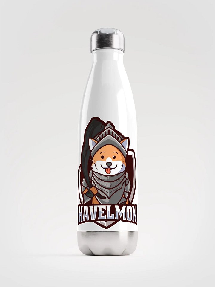 stainless steel water bottle product image (1)