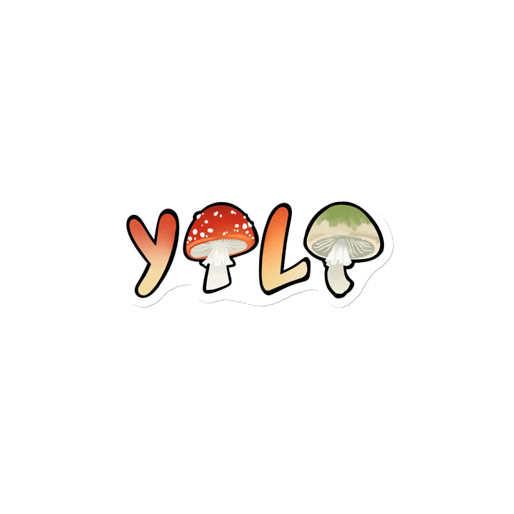 Yolo Magnet product image (2)