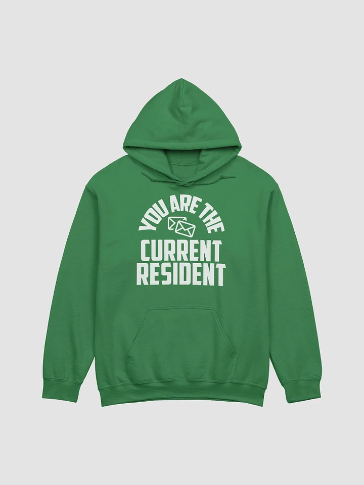 YOU ARE THE CURRENT RESIDENT HOODIE product image (8)