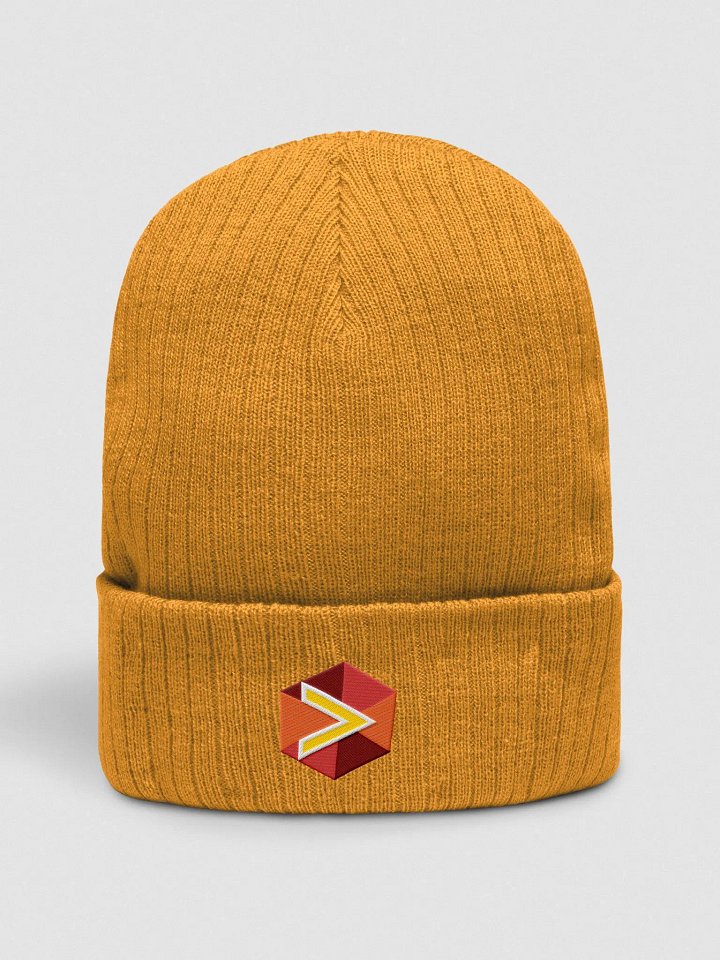 S2C Logo Beanie product image (4)