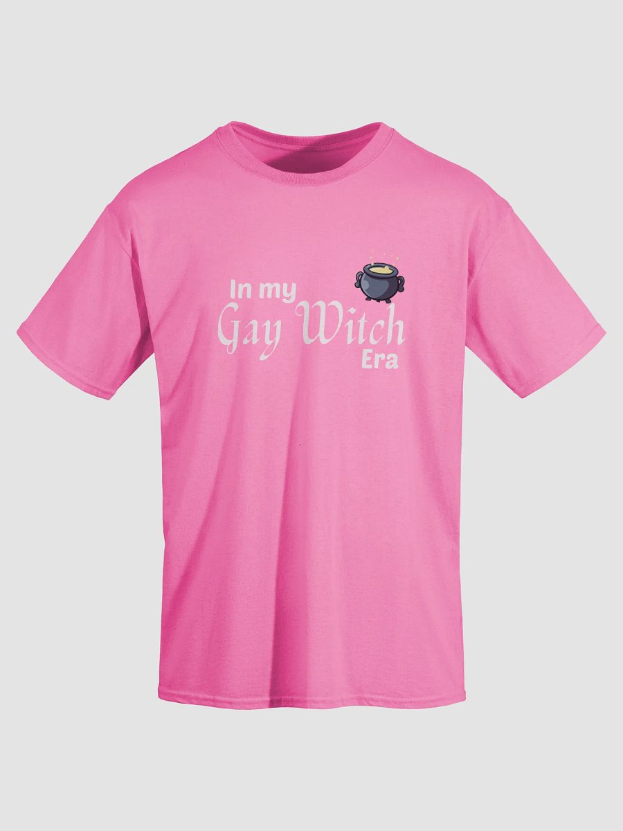 Gay Witch Era product image (3)