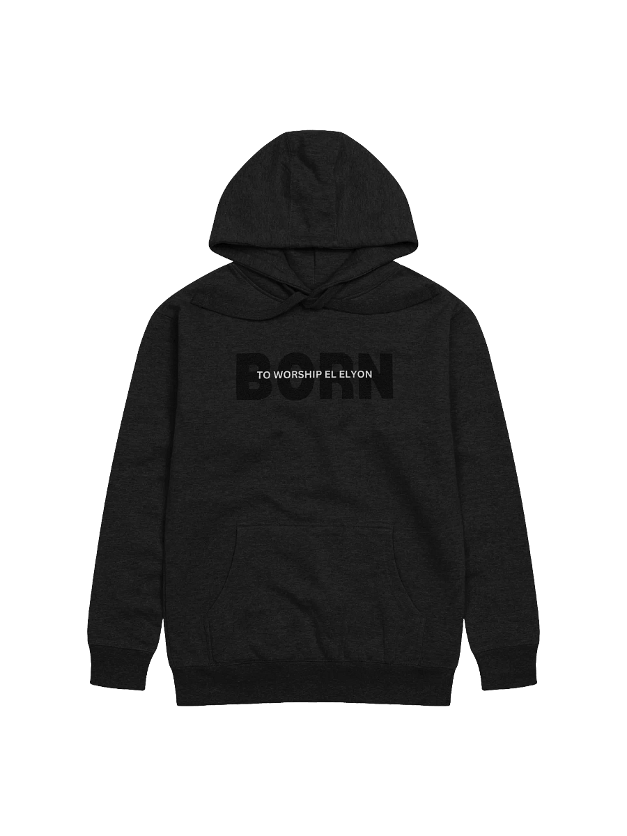 Born to Worship El ELYON Unisex Hoodie product image (18)