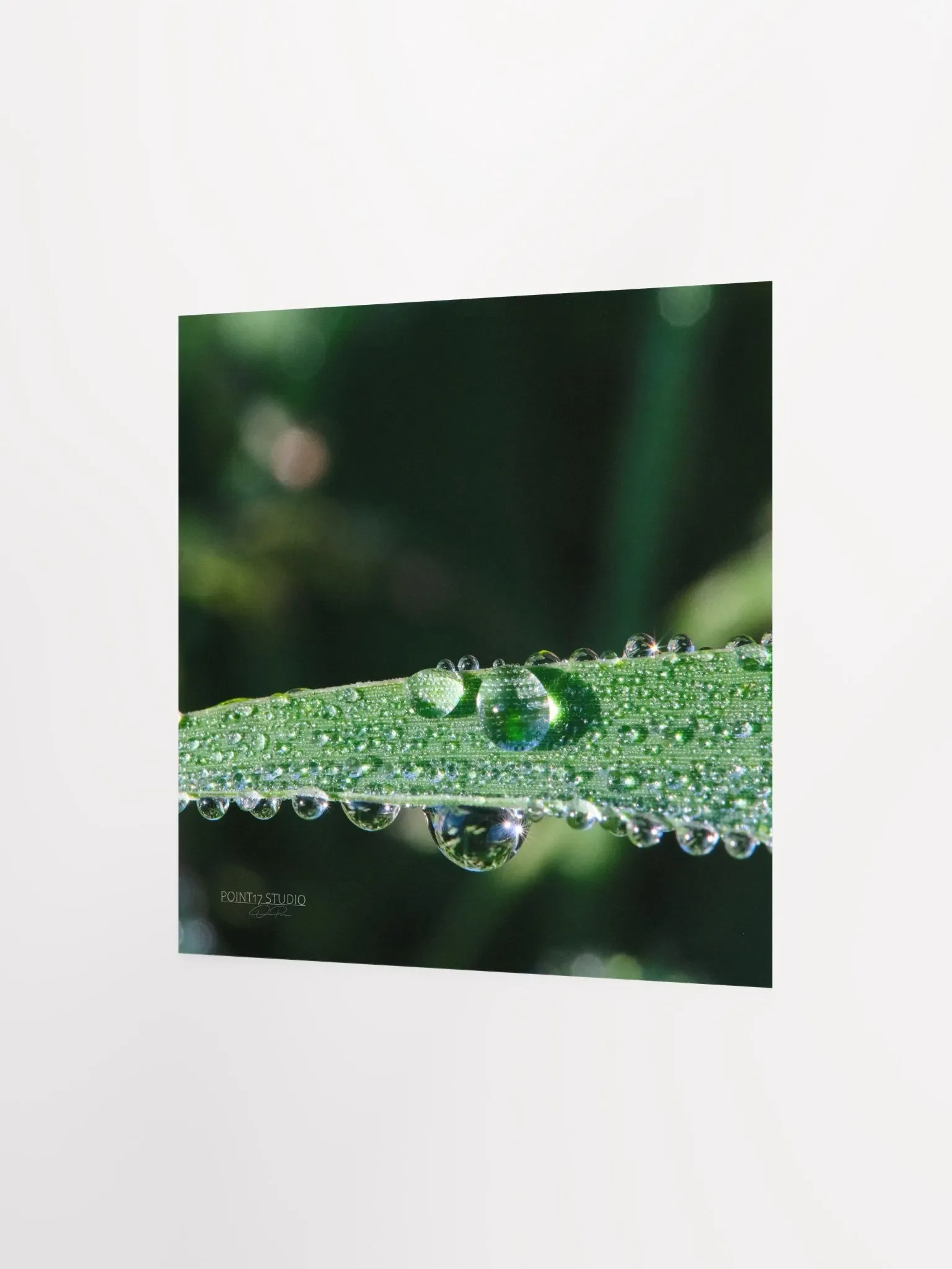 Dew Gems #2 - Print product image (6)