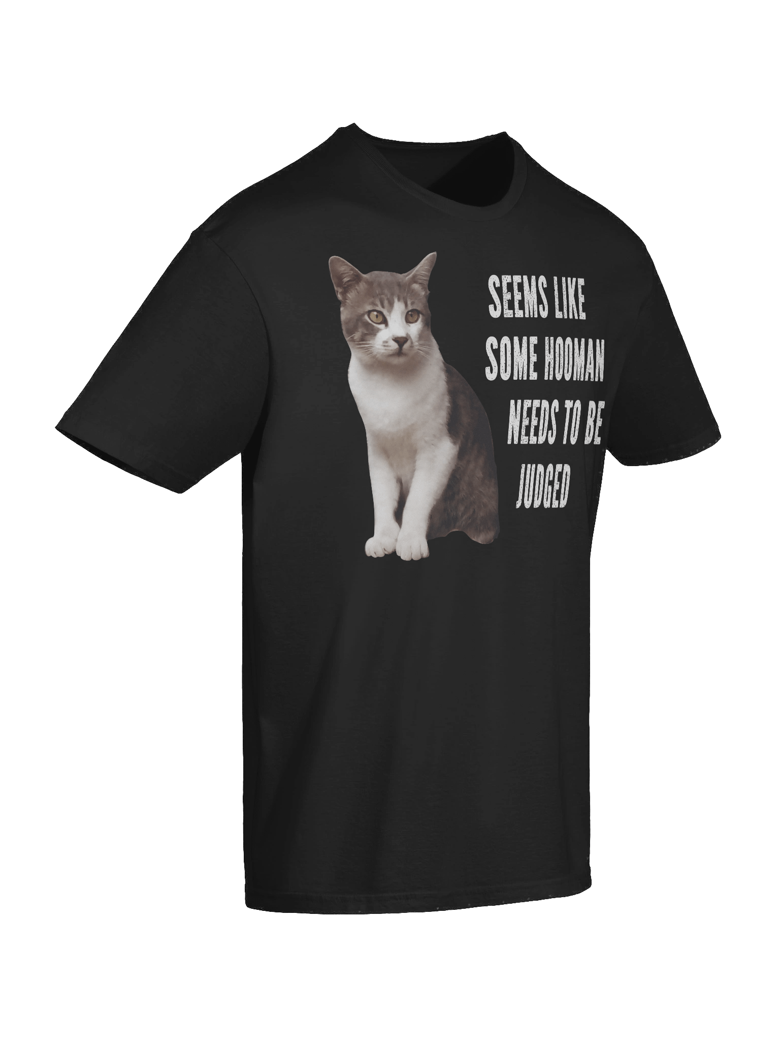 Some Hooman Needs To Be Judged T-Shirt product image (56)