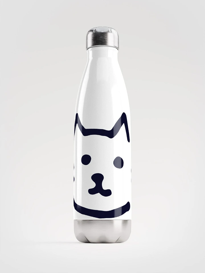 Stainless Steel Water Bottle product image (1)