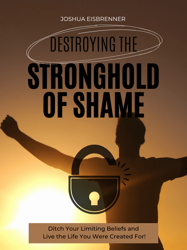 Destroying The Stronghold of Shame product image (1)