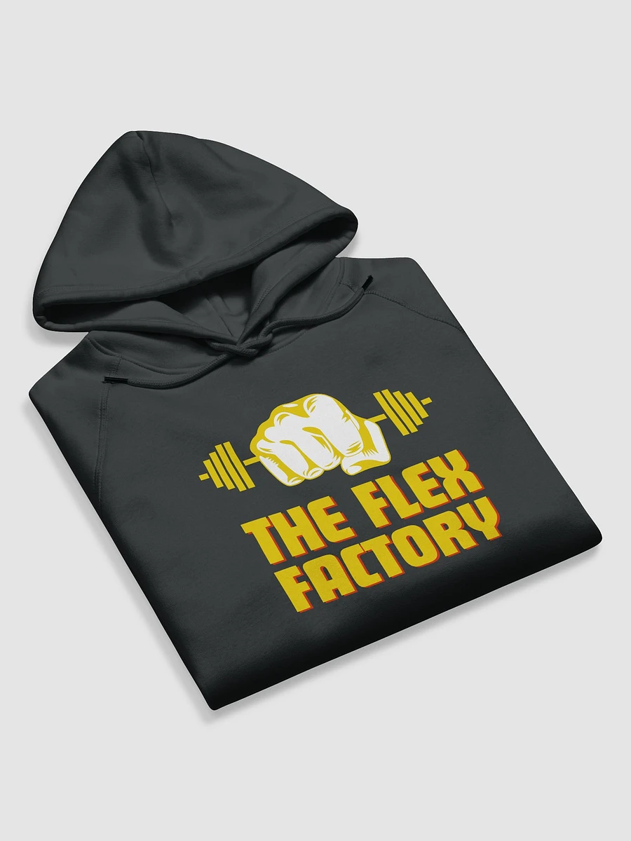 The Flex Factory Official Hoodie product image (5)