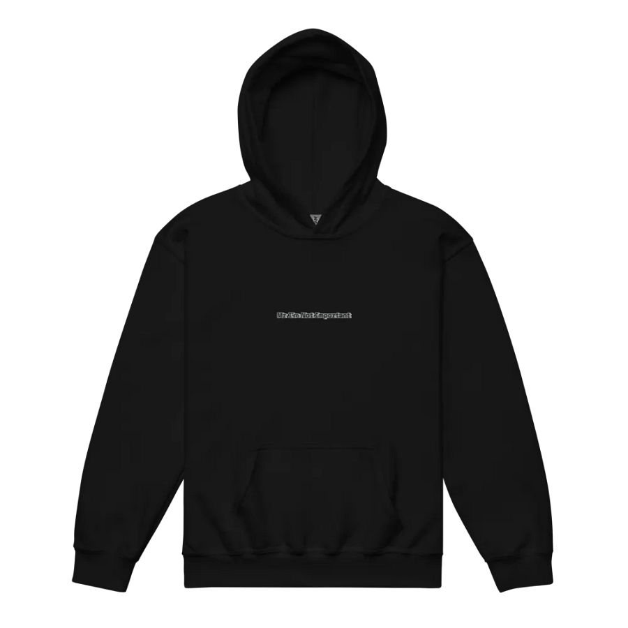 Youth Heavy Blend Hoodie - Embroidered - Mr I'm Not Important product image (8)